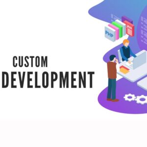 Custom Website Development Agency